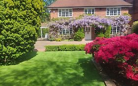 Little Robin Gate - Free Parking - Central - 10 Min Walk To Train Station