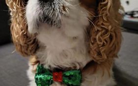 Little Robin Gate - Free Parking - Central - 10 Min Walk To Train Station